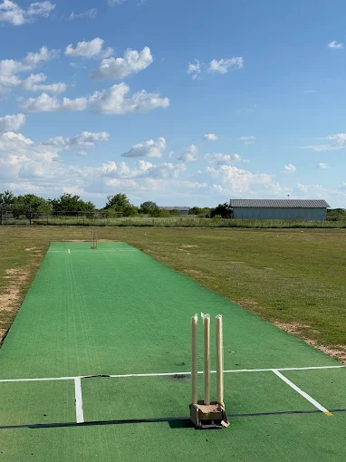 Stallions Academy for Cricket